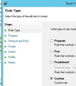 Screenshot showing "Custom" rule type option.