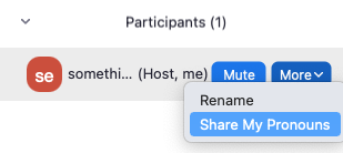Share My Pronouns in a meeting