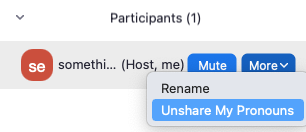 Unshare My Pronouns in meeting
