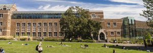 Students sunbathing on the HUB lawn/yard