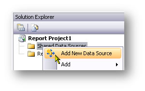 Solution Explorer dialog box showing the Add New Data Source option selected