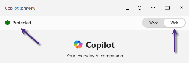 Snipped of Copilot page with purple arrows pointing to the word Protected and the slider set to Web.