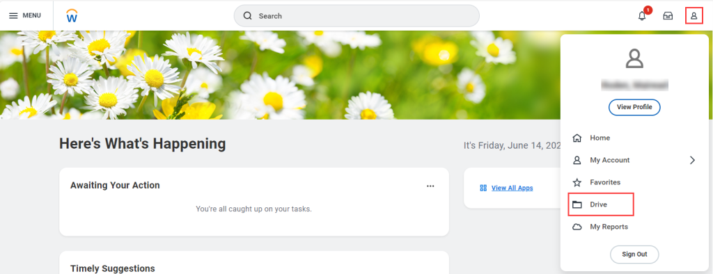 A screenshot of Workday, with the Profile and Drive icons selected.
