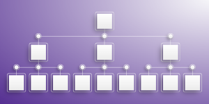 Simple organization chart with boxes connected by lines, showing a hierarchical structure.